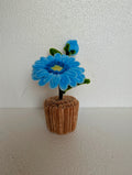 Azure Daisy Mini Pot 💙
