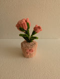 Blush Rose Bloom Pot
