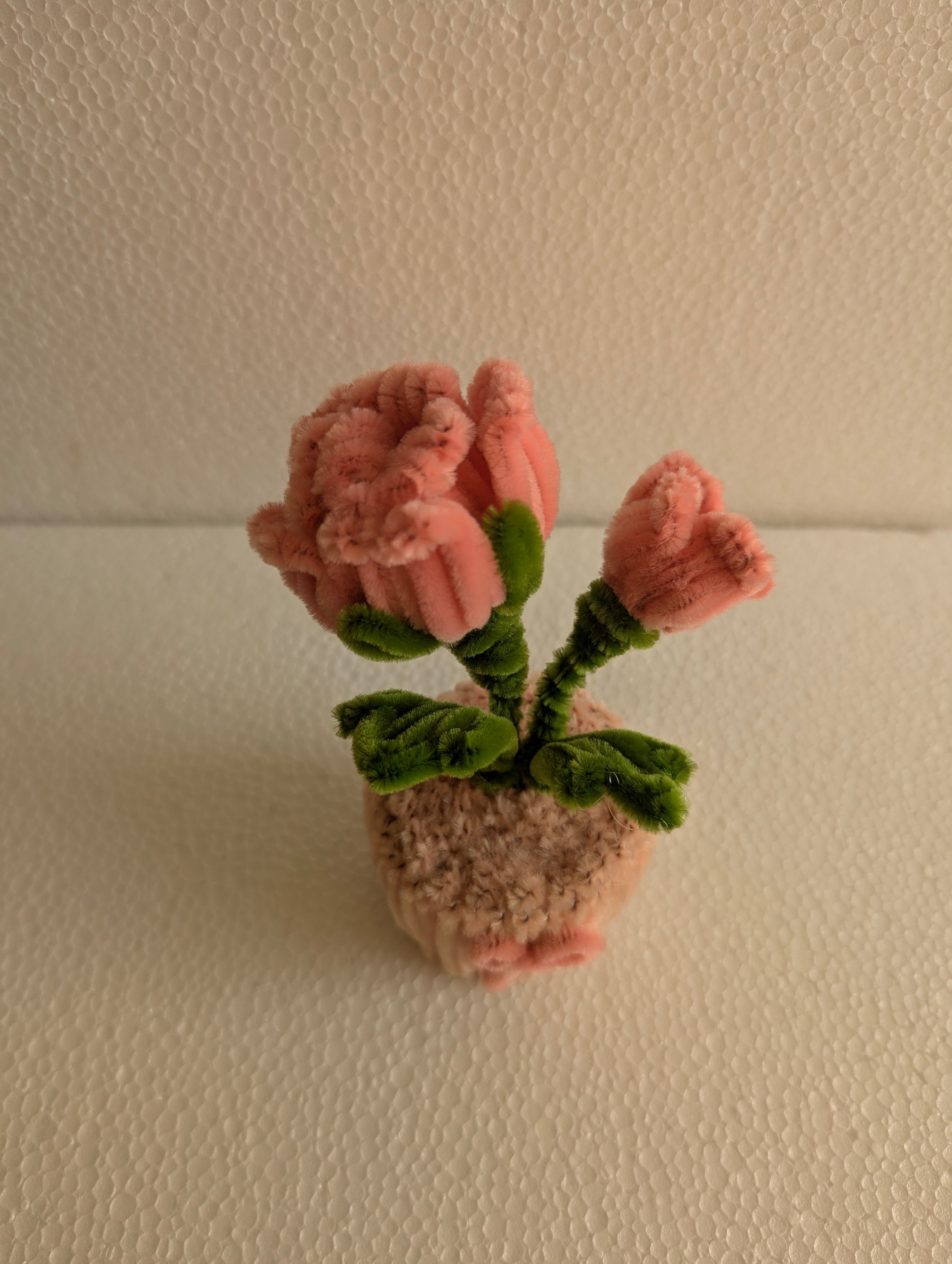Blush Rose Bloom Pot