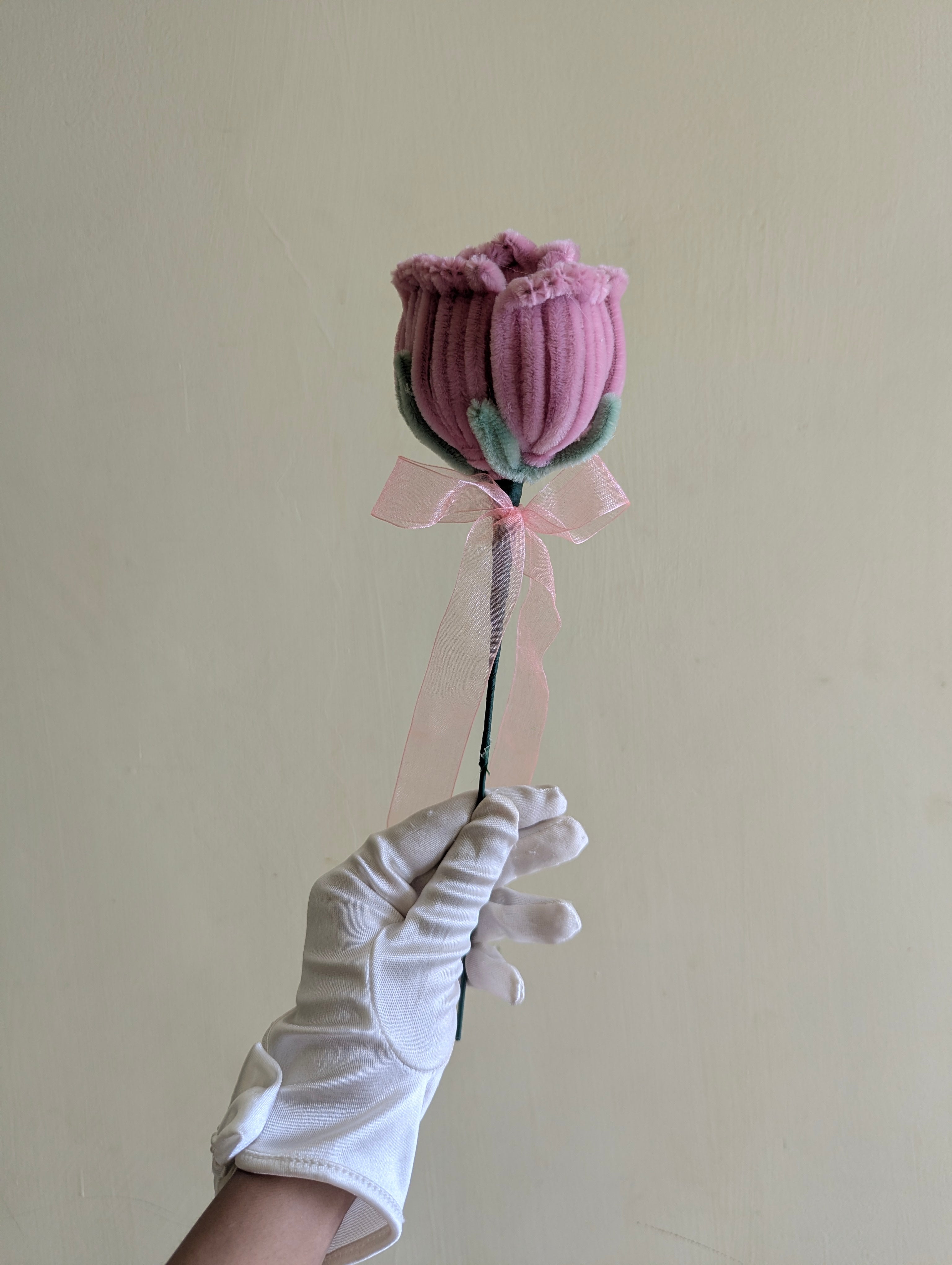 Blush Ever Rose