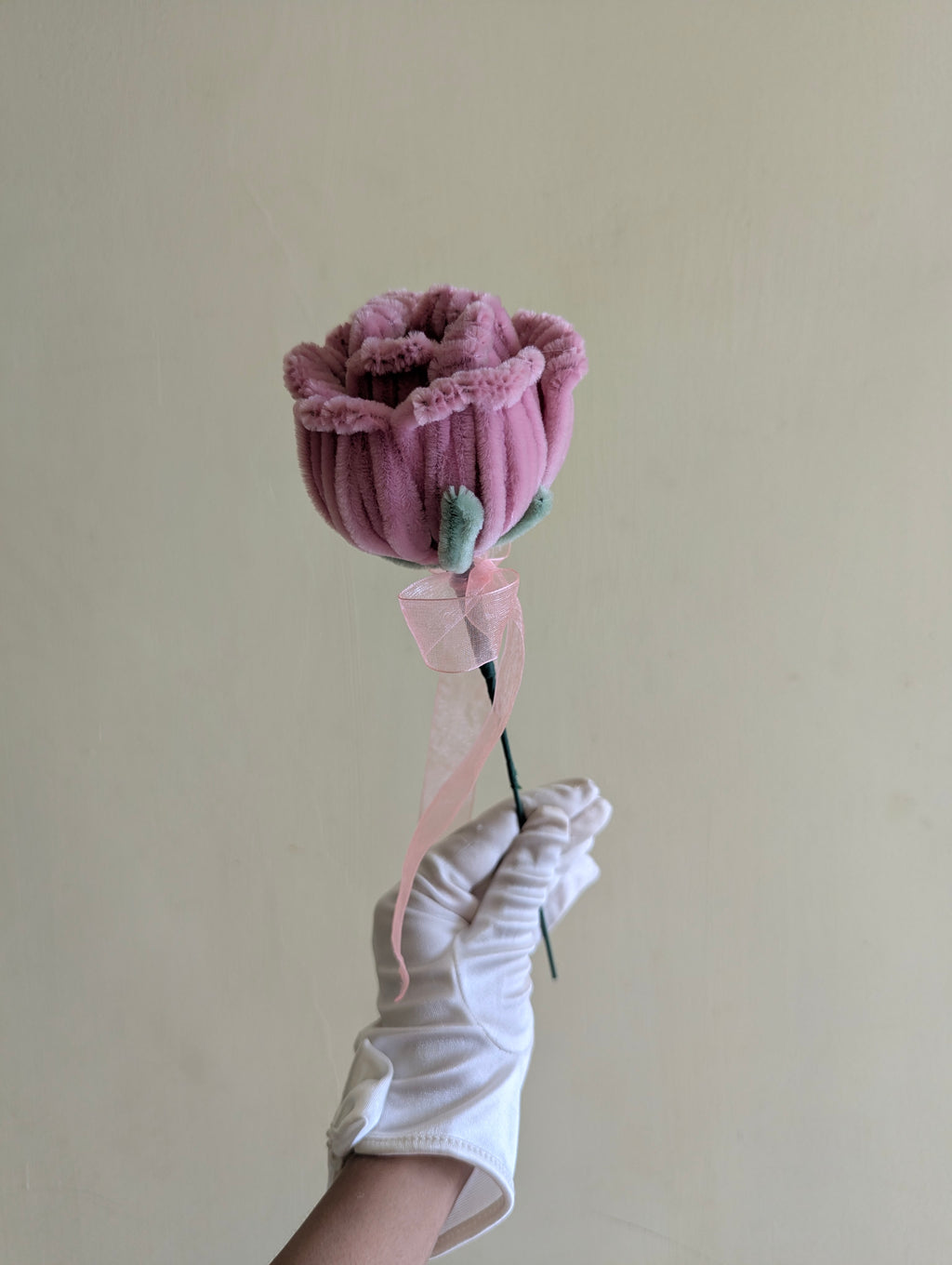 Blush Ever Rose