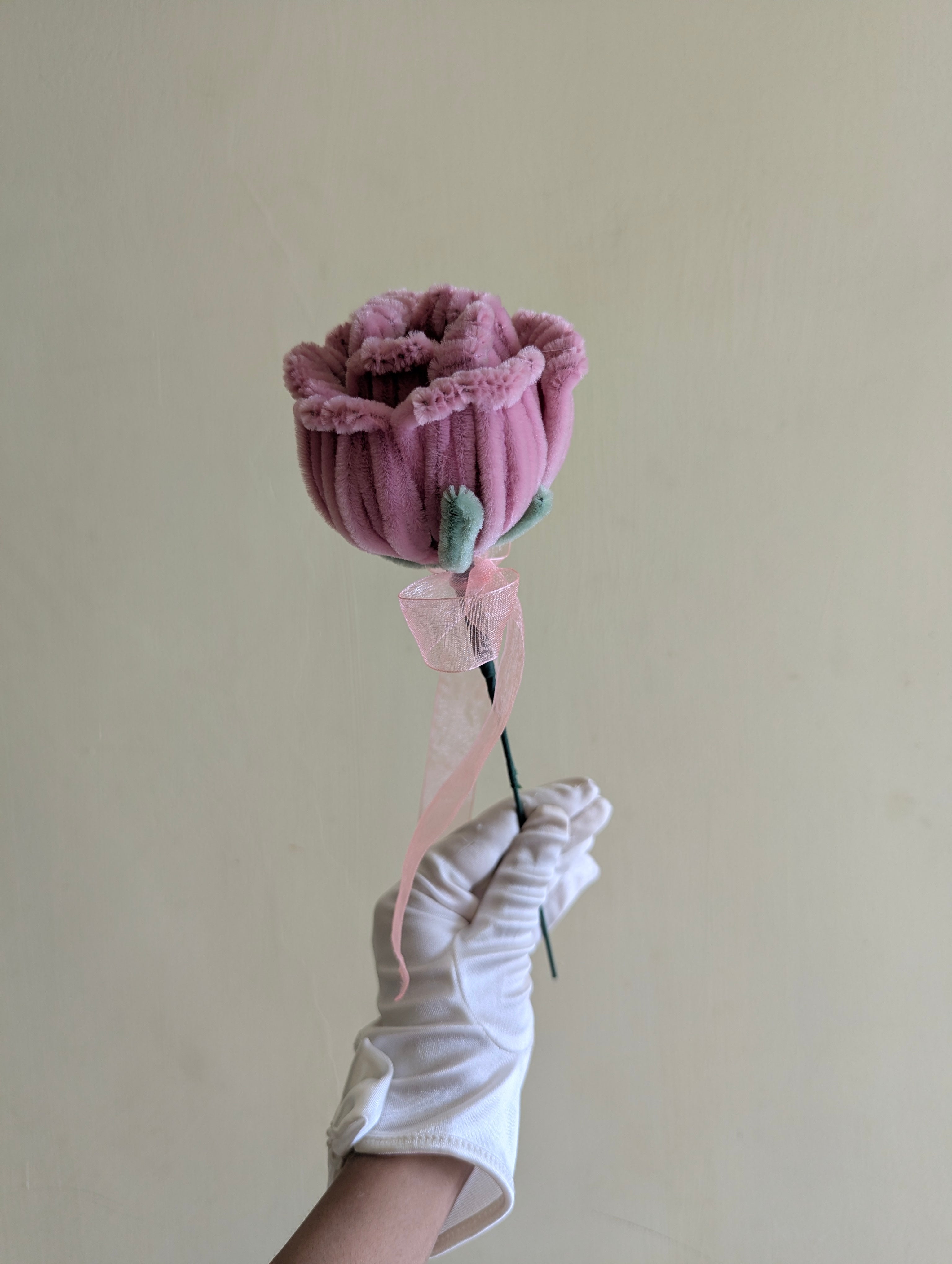 Blush Ever Rose