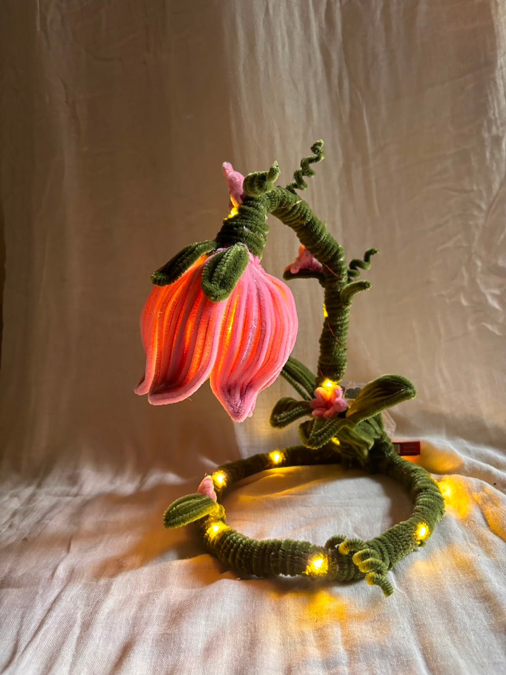 Aurora Magical Lamp 🌸(Large)