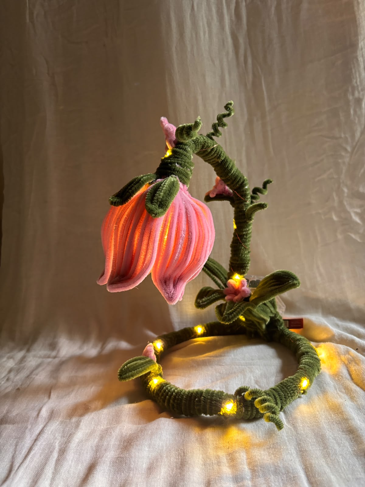 Aurora Magical Lamp 🌸(Large)