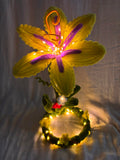 Rapunzel Magical Lamp