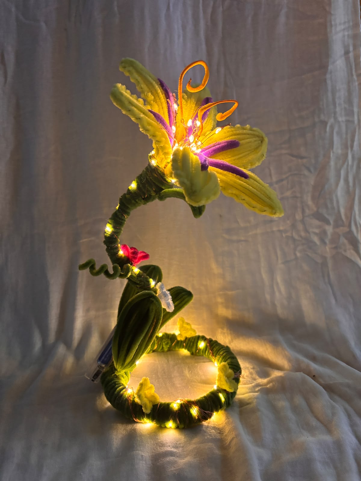 Rapunzel Magical Lamp