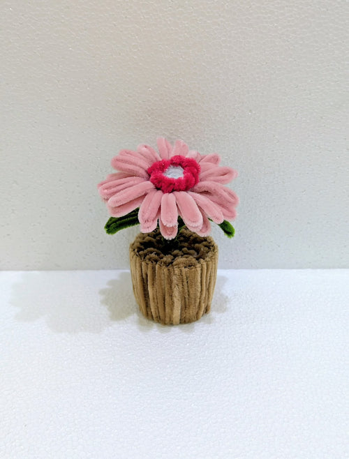 Blossom Bloom Pot